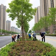 今年会 南宫找绿化工作怎么找汕头市